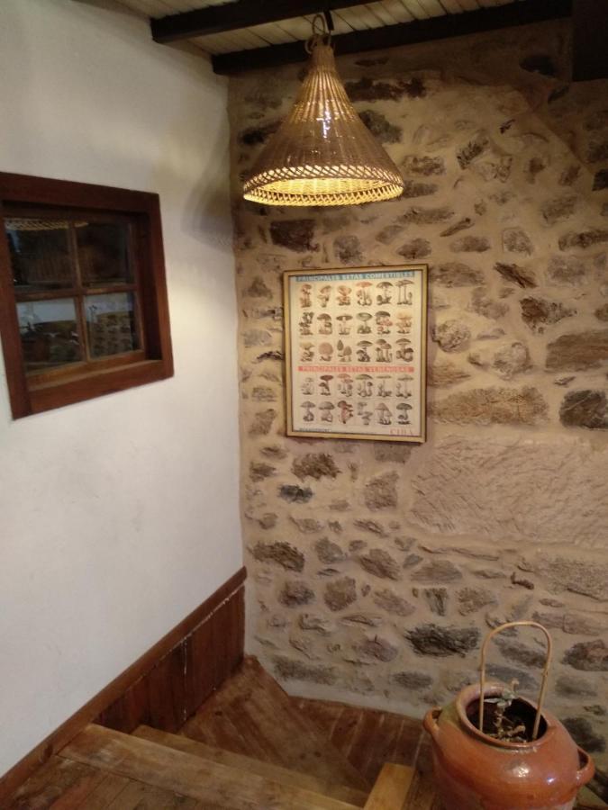 Casa Ribeira Sacra, Ourense, Ninodaguia, Galicia Екстер'єр фото